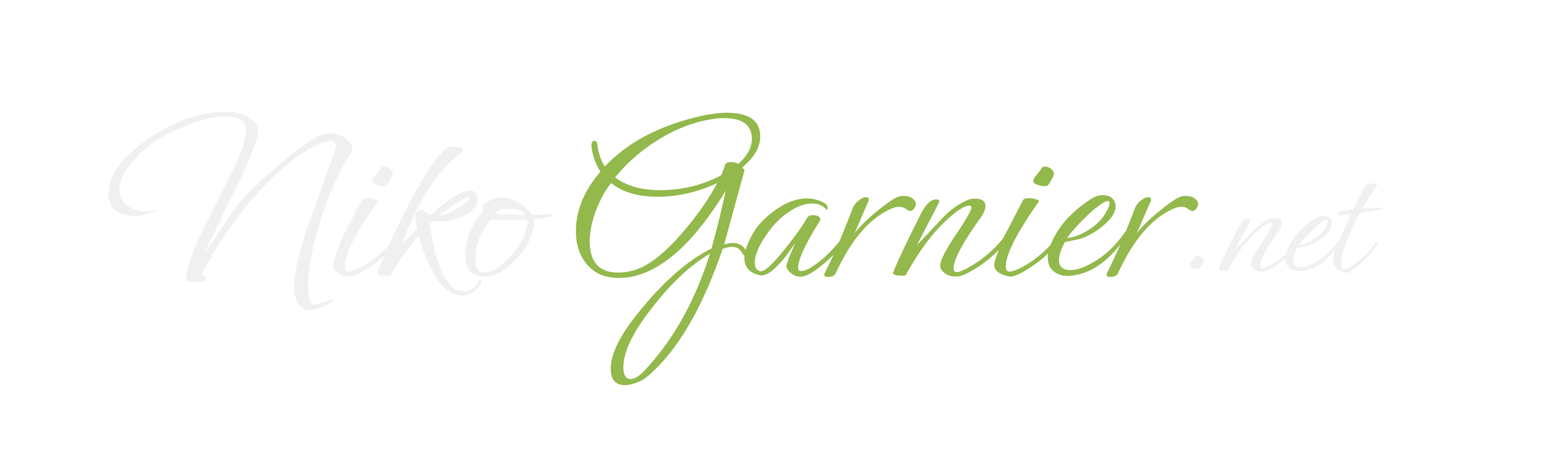 LOGO NIKO GARNIER